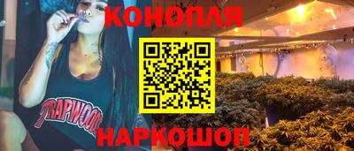 Альфа ПВП Славянск-на-Кубани
