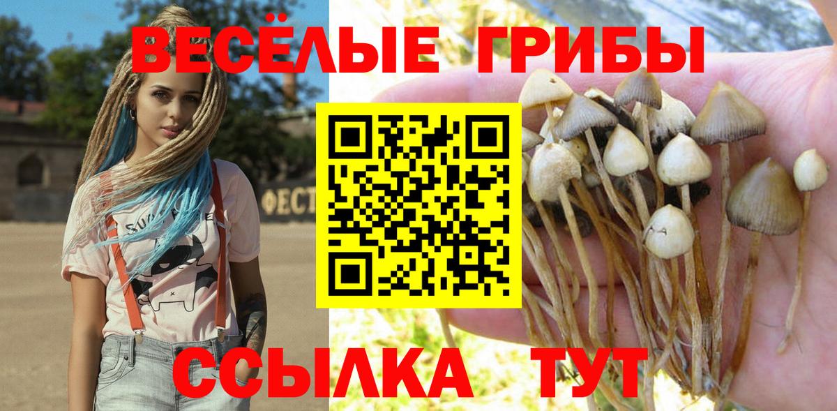 Нурлат  Галлюциногенные грибы Cubensis  Вход с VPN 